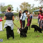 SPCA Paws To The Park Bermuda, March 1 2015-14