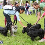 SPCA Paws To The Park Bermuda, March 1 2015-15