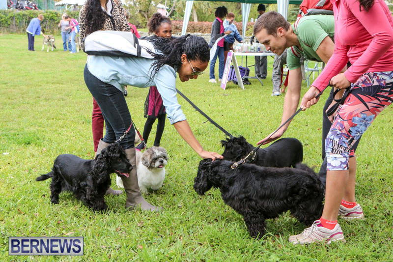 SPCA-Paws-To-The-Park-Bermuda-March-1-2015-15