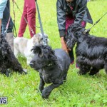 SPCA Paws To The Park Bermuda, March 1 2015-16
