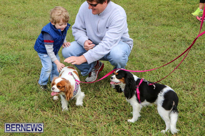 SPCA-Paws-To-The-Park-Bermuda-March-1-2015-21