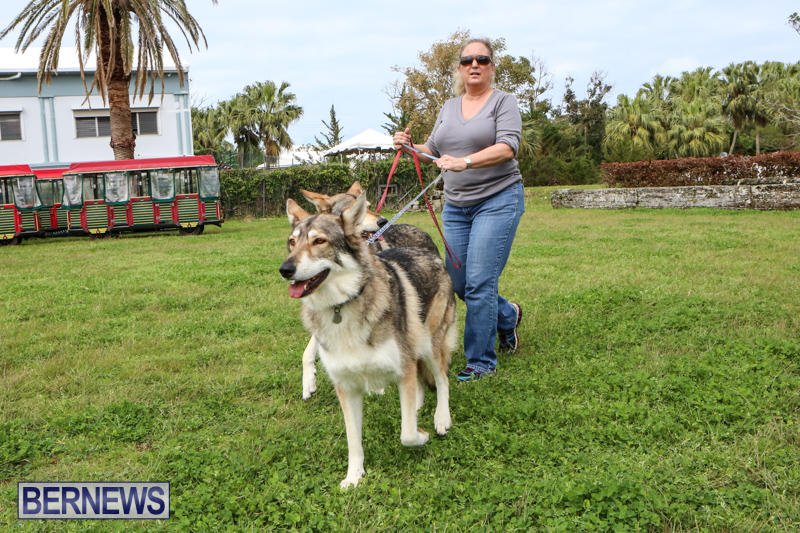 SPCA-Paws-To-The-Park-Bermuda-March-1-2015-24