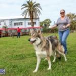 SPCA Paws To The Park Bermuda, March 1 2015-25