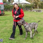 SPCA Paws To The Park Bermuda, March 1 2015-26