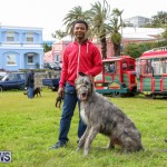 SPCA Paws To The Park Bermuda, March 1 2015-28