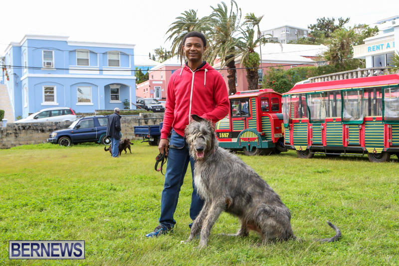 SPCA-Paws-To-The-Park-Bermuda-March-1-2015-28