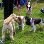 SPCA Paws To The Park Bermuda, March 1 2015-38
