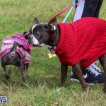 SPCA Paws To The Park Bermuda, March 1 2015-47