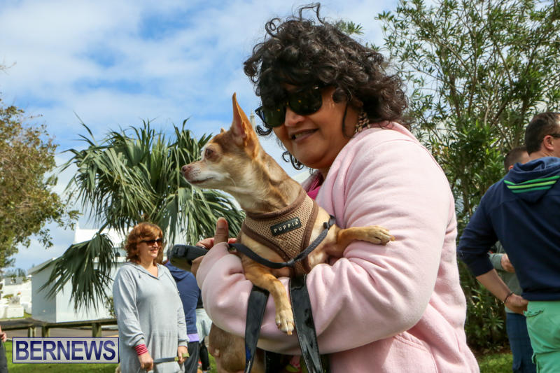 SPCA-Paws-To-The-Park-Bermuda-March-1-2015-59