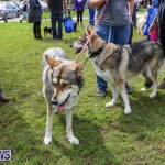 SPCA Paws To The Park Bermuda, March 1 2015-64