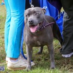 SPCA Paws To The Park Bermuda, March 1 2015-73