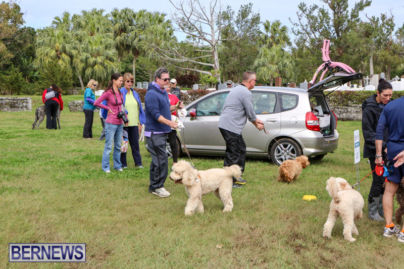 SPCA-Paws-To-The-Park-Bermuda-March-1-2015-74