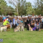 SPCA Paws To The Park Bermuda, March 1 2015-77