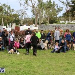SPCA Paws To The Park Bermuda, March 1 2015-79