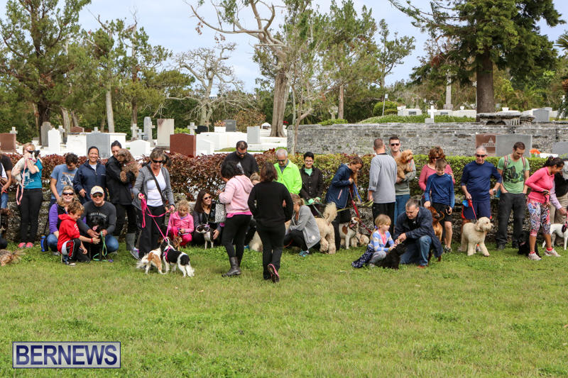 SPCA-Paws-To-The-Park-Bermuda-March-1-2015-79