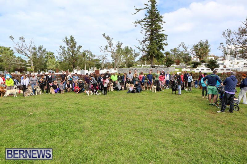 SPCA-Paws-To-The-Park-Bermuda-March-1-2015-82