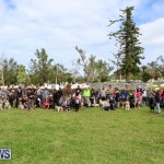 SPCA Paws To The Park Bermuda, March 1 2015-83