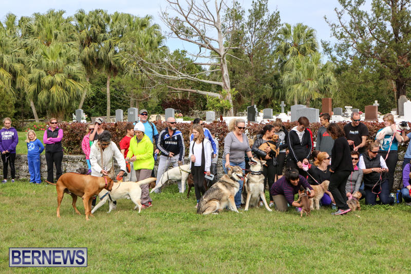 SPCA-Paws-To-The-Park-Bermuda-March-1-2015-84