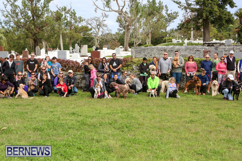 SPCA-Paws-To-The-Park-Bermuda-March-1-2015-86