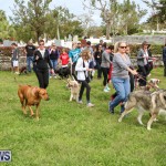 SPCA Paws To The Park Bermuda, March 1 2015-89