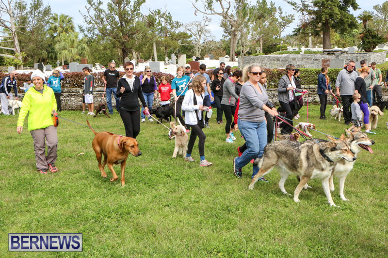 SPCA-Paws-To-The-Park-Bermuda-March-1-2015-89