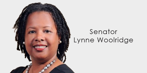 Senator Lynne Woolridge banner