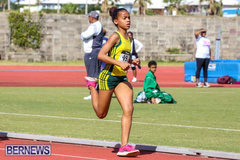 Track-Field-Meet-Bermuda-February-22-2015-154