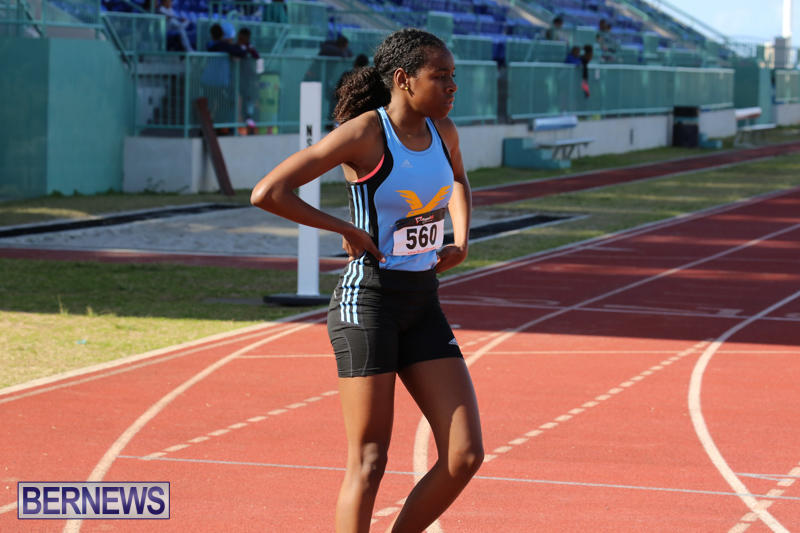 Track-Field-Meet-Bermuda-February-22-2015-211