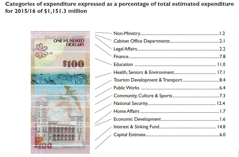 bermuda-budget-2015-table-viii-2