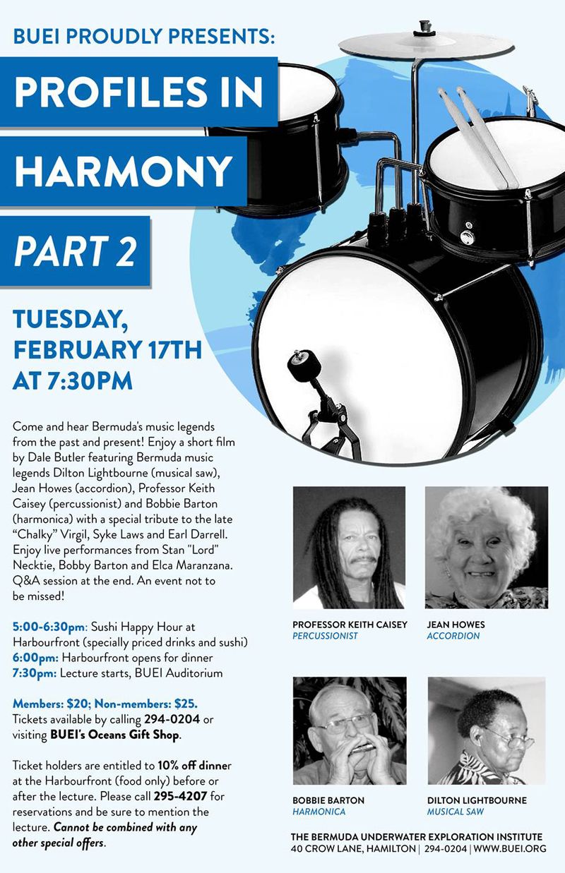 profiles in harmony part 2 poster