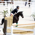 BHPA Spring Horse Jumping Mar 19 (13)