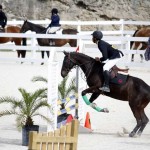 BHPA Spring Horse Jumping Mar 19 (16)
