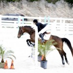 BHPA Spring Horse Jumping Mar 19 (9)