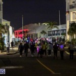 Earth Hour Bermuda, March 28 2015-38