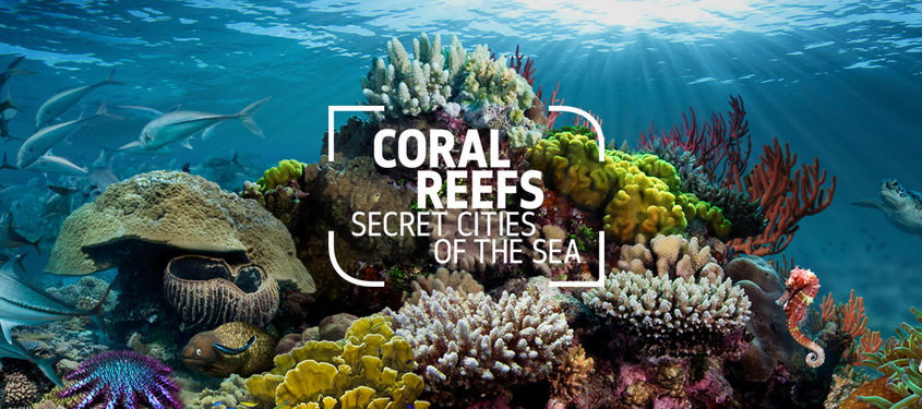 Catlin Joins UK Museum: Coral Reef Exhibition - Bernews
