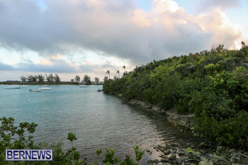 Stokes-Point-Land-Bermuda-March-11-2015-8