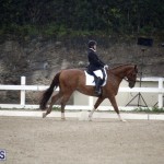 equestrian 6mar2015 (10)