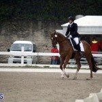 equestrian 6mar2015 (12)