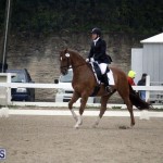 equestrian 6mar2015 (13)