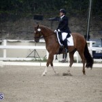 equestrian 6mar2015 (14)