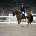 equestrian 6mar2015 (15)