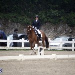 equestrian 6mar2015 (6)