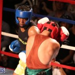 Fight Night XVII Invincible Bermuda, April 18 2015-141