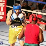 Fight Night XVII Invincible Bermuda, April 18 2015-15