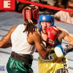 Fight Night XVII Invincible Bermuda, April 18 2015-181