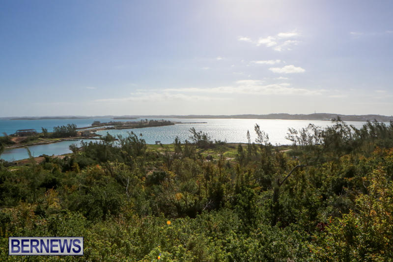 Morgans-Point-Bermuda-March-2015-6