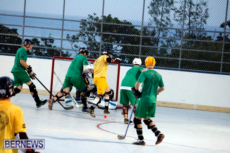 bermuda-ball-hockey-april-2015-11