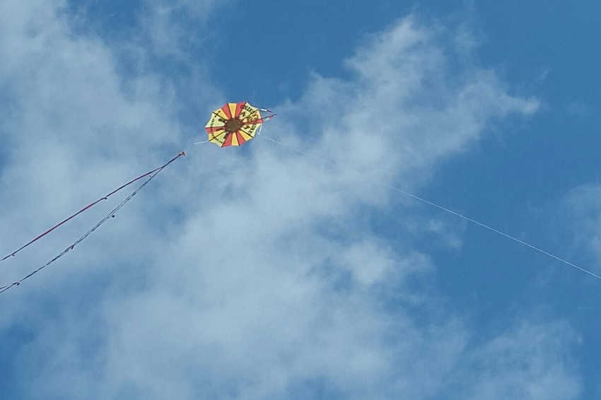 chikos smokey rub kite 2015 (2)