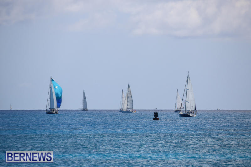 ARC-Europe-USA-World-Cruising-Club-Spring-Rallies-Bermuda-May-20-2015-55