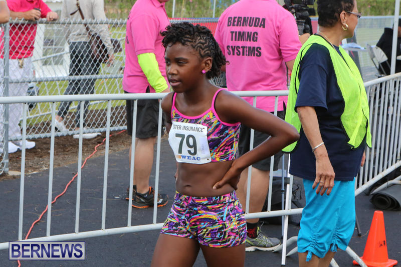 Bermuda-Day-Half-Marathon-May-24-2015-8